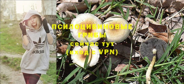 PSILOCYBIN Балахна